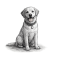 eb8e0d72-3e40-4f7f-af62-ec5c3b83e672